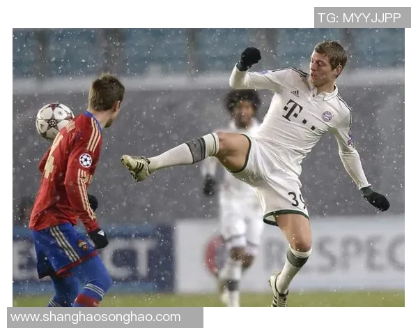 依布拉希莫维奇：足球传奇背后的奋斗与荣耀历程