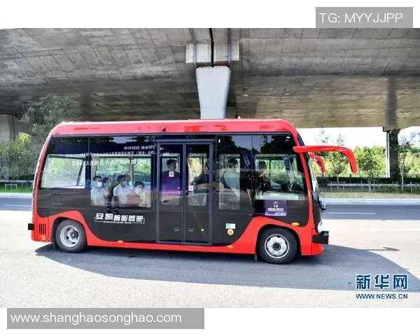 围绕足球星孩子成长之路展现激情拼搏与梦想启航的精彩篇章