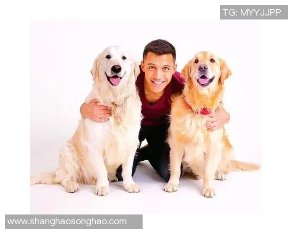 足球球星宠物狗大曝光，引发网友热议