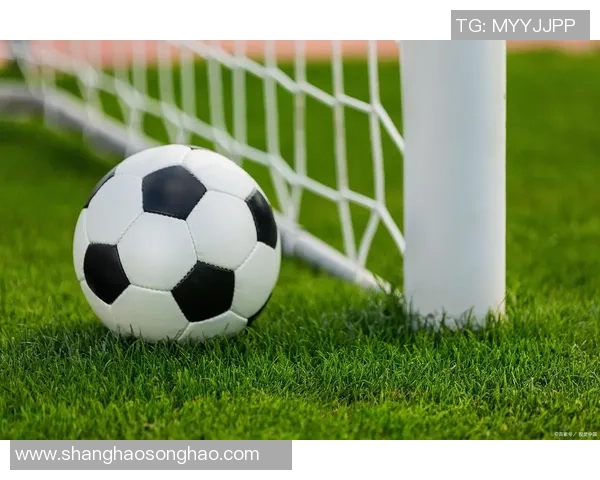 如何快速了解并认出足球球星提升你的足球文化素养