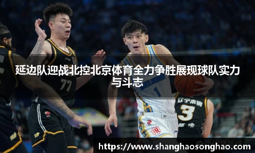 MK体育官网