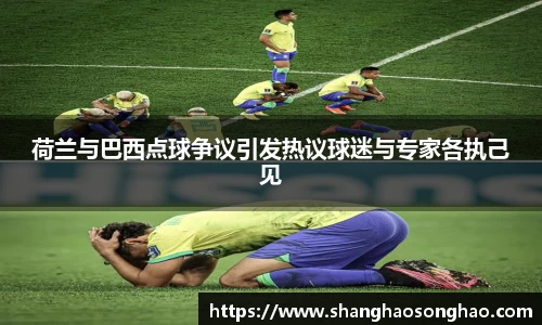 荷兰与巴西点球争议引发热议球迷与专家各执己见