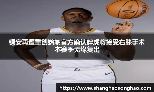 锡安再遭重创鹈鹕官方确认胖虎将接受右膝手术本赛季无缘复出
