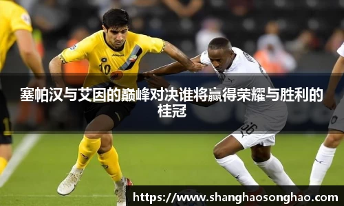 塞帕汉与艾因的巅峰对决谁将赢得荣耀与胜利的桂冠