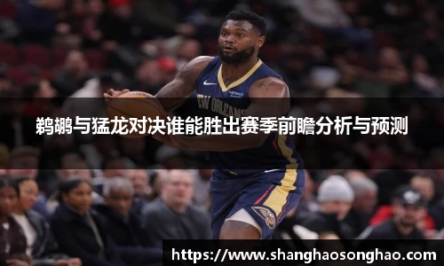 鹈鹕与猛龙对决谁能胜出赛季前瞻分析与预测